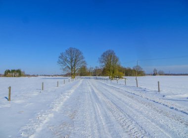 Letonya 'da kışın karla kaplı tarlalar.