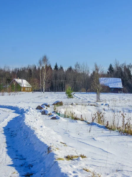 Campos cubiertos de nieve en Letonia, en invierno . — Foto de Stock