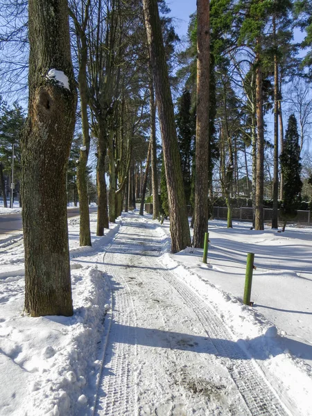 Snövit väg i Jurmala, på stranden av Rigabukten, på vintern 2018.Lettland. — Stockfoto