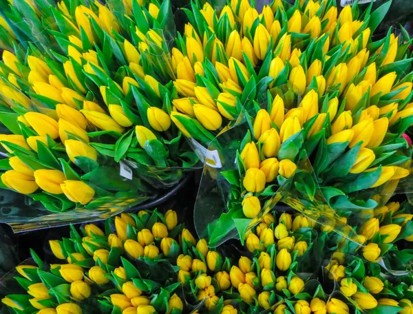 Sortiment bunter Tulpensträuße im Blumenladen. — Stockfoto