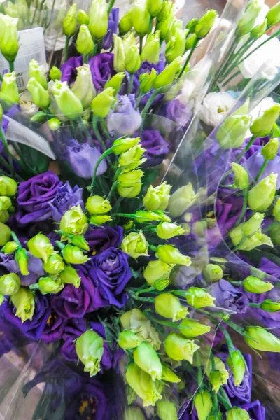 Sortiment bunter Anemonen-Sträuße im Blumenladen. — Stockfoto