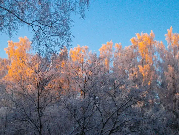 First snow in the city. Snow-covered streets. — Stock Photo, Image