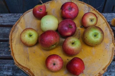 huş bir daire üzerinde taze kırmızı elma.