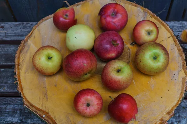 huş bir daire üzerinde taze kırmızı elma.