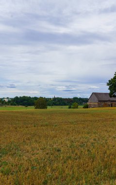 Yaz peyzaj alanları, tepeler ve hasat bitkileri, sonsuz expanses, cumulus bulutları ile mavi gökyüzü ile orman.