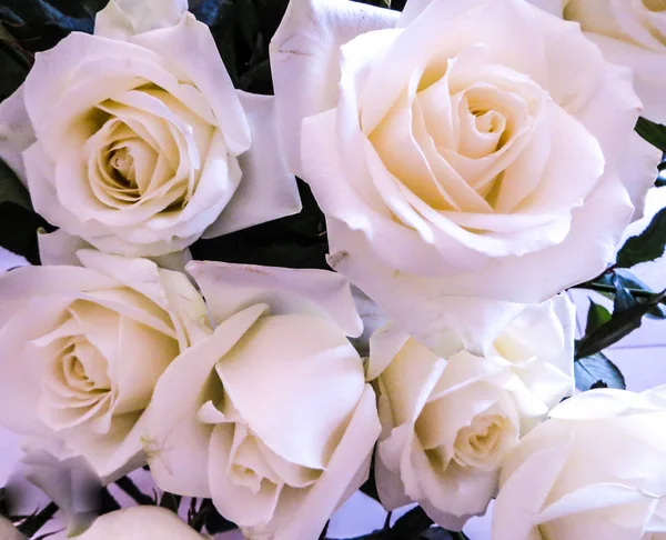 Pąki pięknych miękkich różowych róż w wazonie. — Zdjęcie stockowe