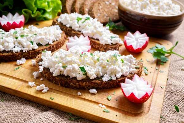 Torrada caseira com queijo Cottage e salsa, rabanete . — Fotografia de Stock