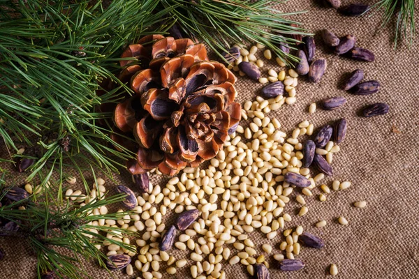 Masada soyulmuş fındıklı sedir konisi..