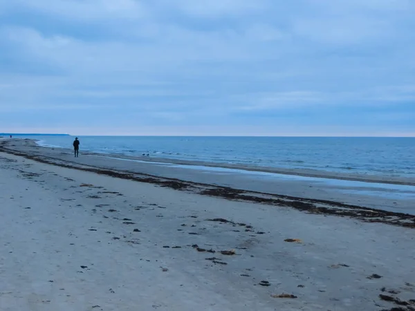 Спокійна ранньою весною на березі Ризької затоки.. — стокове фото