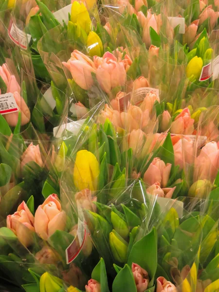 Ein Heller Strauß Verschiedener Tulpen Transparenter Verpackung Aufgenommen Von Oben — Stockfoto