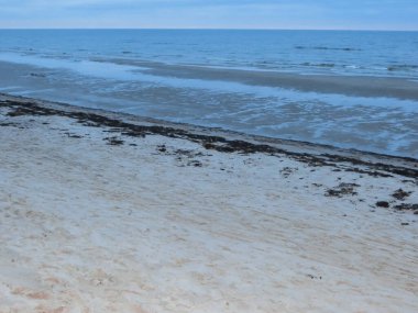 Riga Körfezi kıyılarında ilkbaharın başlarında sakin