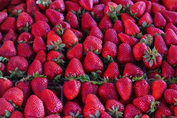 Caja Sabrosas Fresas Rojas Una Caja Mercado — Foto de Stock