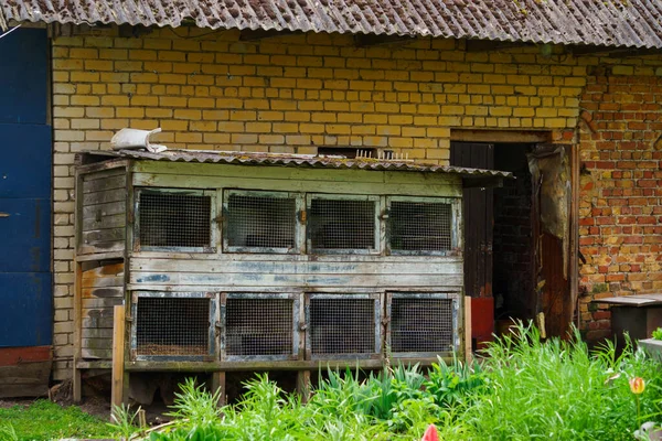 Vidéki Élet Régi Ketrecek Nyulaknak Egy Pajta Közelében Lettország Külvárosában — Stock Fotó
