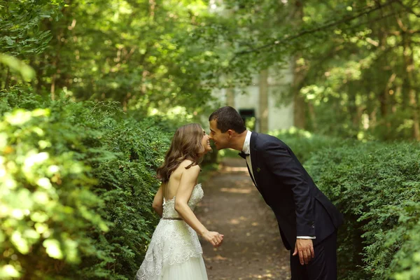 Gelin ve damat öpüşme doğada — Stok fotoğraf