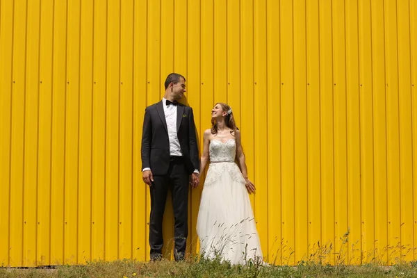 新娘和新郎在黄色墙边手牵着手 — 图库照片