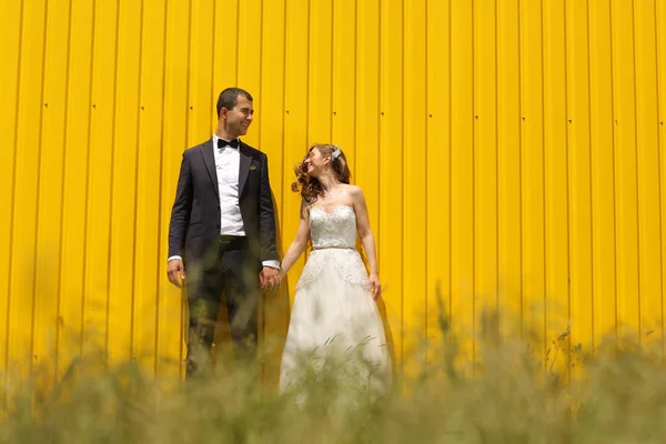 Bruid en bruidegom hand in hand naast een gele muur — Stockfoto
