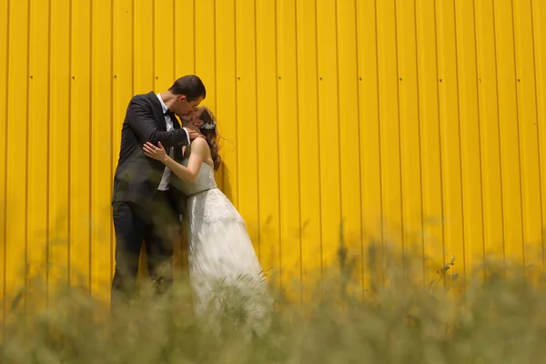 Noiva e noivo beijando ao lado de uma parede amarela — Fotografia de Stock