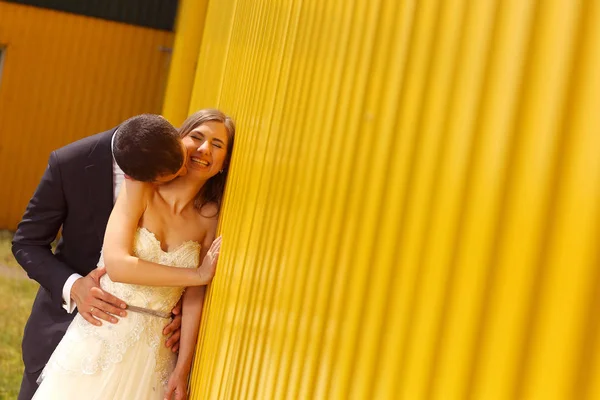 Noivo beijando sua noiva no pescoço — Fotografia de Stock