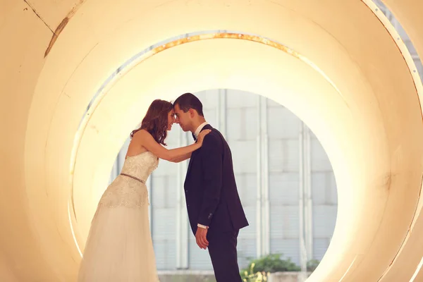 Bride and groom kissing in big pipe — Stock Photo, Image