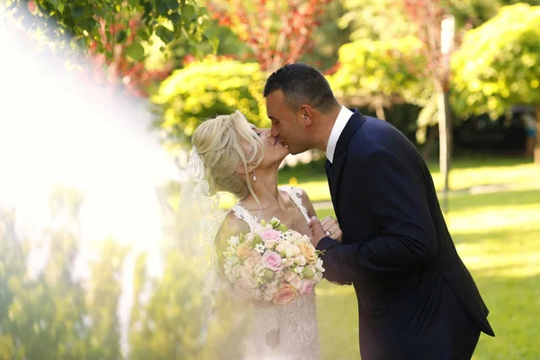 Casal de noivas alegre abraçando na natureza — Fotografia de Stock