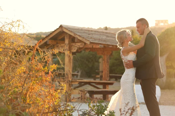 Gyönyörű menyasszony és a vőlegény átfogó alkonyatkor — Stock Fotó