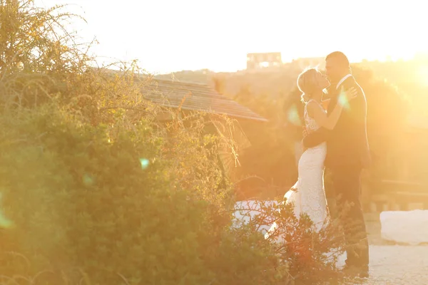 Hermosa novia y novio abrazándose al atardecer —  Fotos de Stock