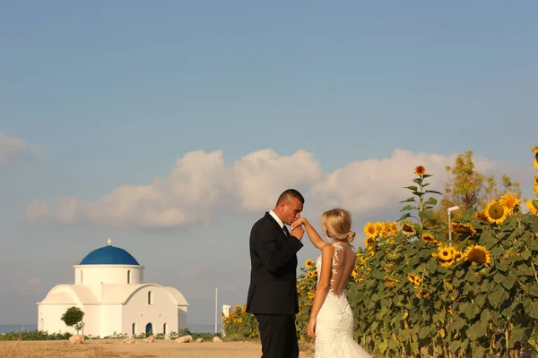 Braut und Bräutigam umarmen sich bei Sonnenblumen — Stockfoto
