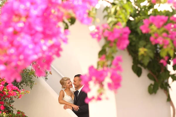 Casal de noivas alegre abraçando perto de flores coloridas — Fotografia de Stock