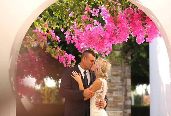 Casal de noivas alegre abraçando perto de flores coloridas — Fotografia de Stock