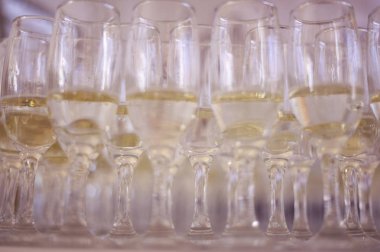 birçok bardak şampanya tablo