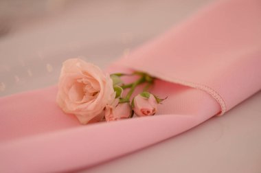 Pembe gül pembe peçete üzerinde