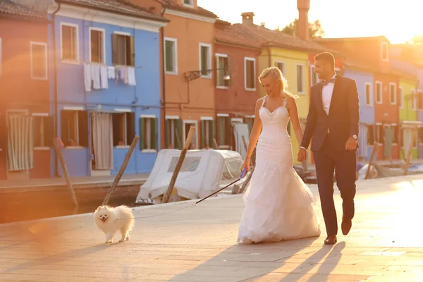 Bruden och brudgummen rastade sin hund — Stockfoto