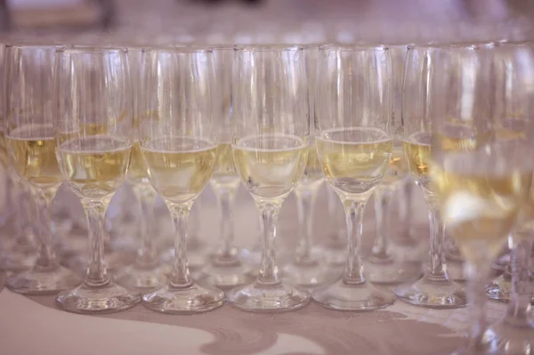 Vele glazen van champagne op de tafel — Stockfoto