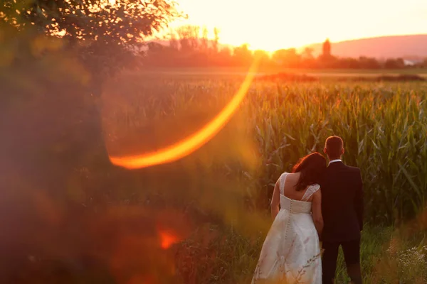 Beau couple nuptial embrassant près de champ de maïs au coucher du soleil — Photo