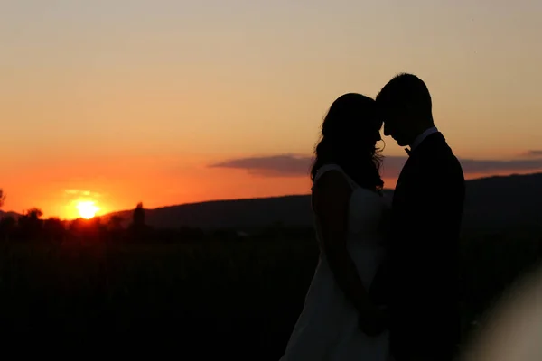 Silhueta de noiva e noivo ao pôr-do-sol — Fotografia de Stock