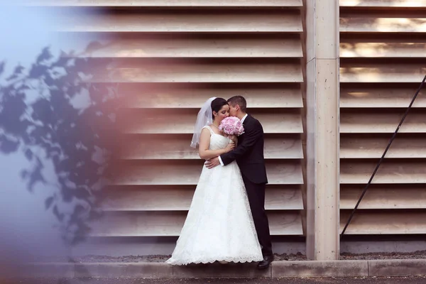 新娘和新郎拥抱户外 — 图库照片