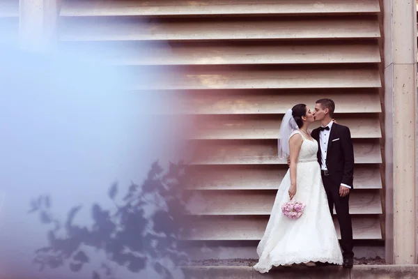 Mariée et marié embrassant l'extérieur — Photo