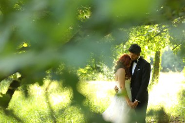 Gelin ve damat parkta.