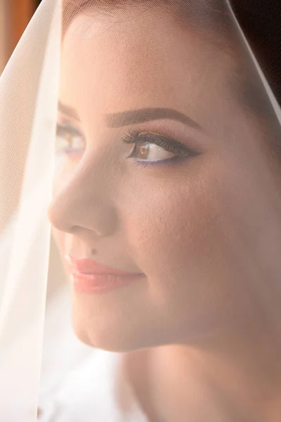 Retrato de uma bela noiva com véu em — Fotografia de Stock