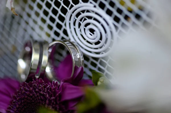 Closeup with beautiful wedding rings — Stock Photo, Image