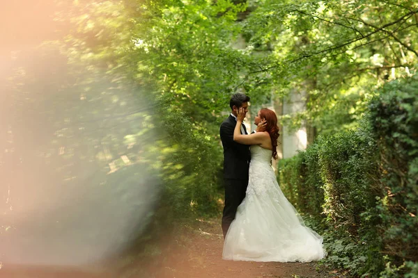 Beautiful bridal couple embracing in the woods — Stock Photo, Image