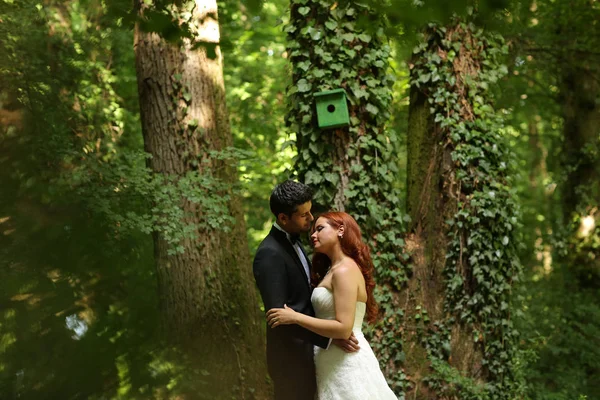 Beautiful bridal couple embracing in the woods — Stock Photo, Image