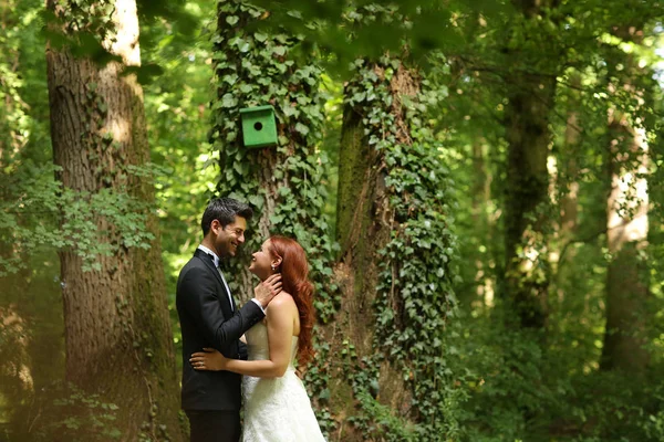 Bella coppia di sposi che si abbraccia nel bosco — Foto Stock
