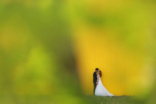 Casal de noivas alegre perto da parede amarela — Fotografia de Stock
