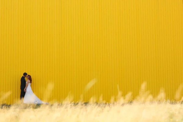 Pareja nupcial alegre cerca de la pared amarilla — Foto de Stock