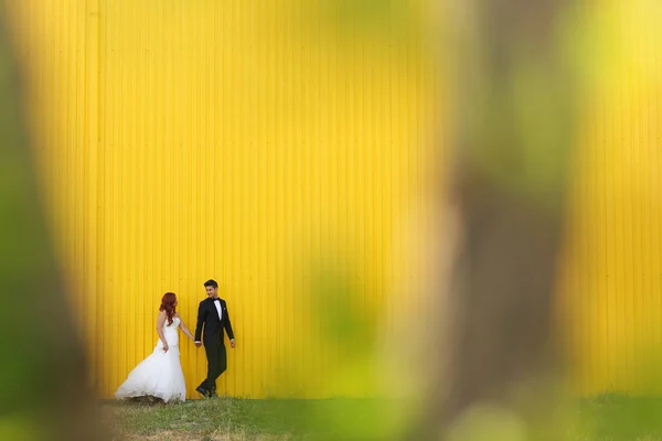 Gioiosa coppia nuziale vicino al muro giallo — Foto Stock