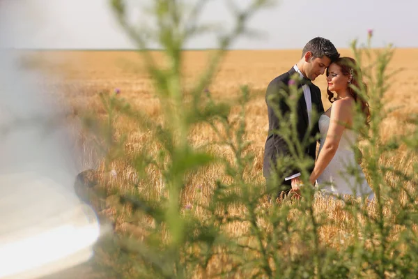 Brudgummen och bruden i fälten — Stockfoto