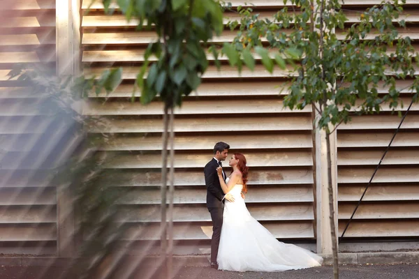 Belo casal nupcial abraçando perto de parede despojada — Fotografia de Stock