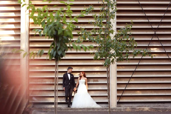 Beautiful bridal couple embracing near stripped wall — Stock Photo, Image