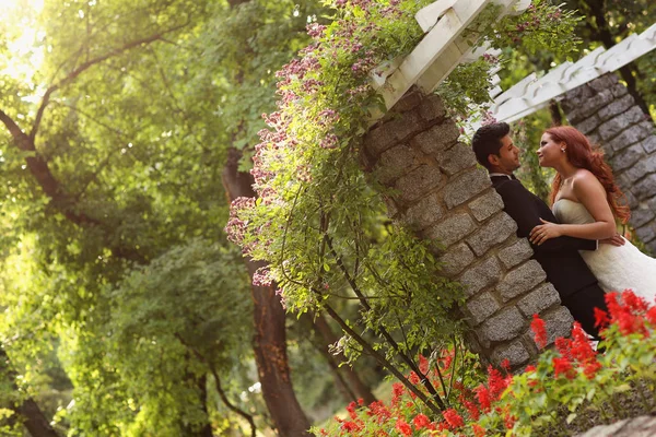 Hermosa pareja de novias abrazándose en el parque —  Fotos de Stock